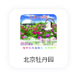支付宝小程序