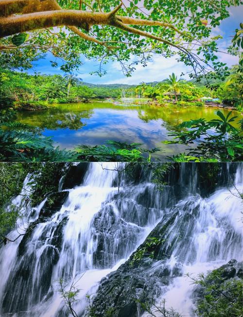 海南三亚呀诺达雨林景区 OTA 对接管理系统解决方案